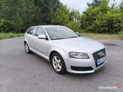 Audi A3 1.9 TDI oryginał