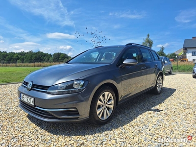 Volkswagen Golf VII 1.6 TDI BMT * Krajowy * Serwisowany * Bezwypadkowy