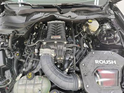 Ford Mustang 5.0L V8 450KM VI (2014-)
