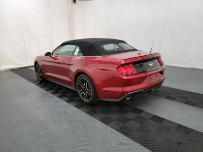 Ford Mustang EcoBoost Premium 2023 VI (2014-)