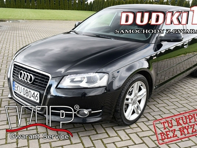 Audi A3 II (8P) 1,6TDI DUDKI11 Ledy,Navi,Pół-Skóry,Klimatronic 2 str.kredyt.GWARANCJ