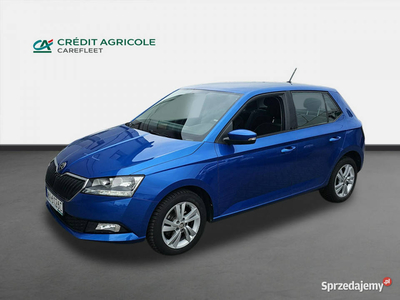 Škoda Fabia 1.0 TSI Ambition Hatchback. WX6126C III (2014-)