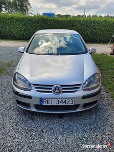 Volkswagen Golf 5 1.9 TDI 2004 rok 105 koni sprawny w ładnym stanie