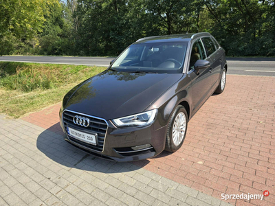 Audi A3 Audi A3 1,6 tdi Sportback 110KM z bardzo niskim przebiegiem 127 ty…