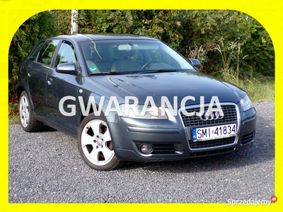 Audi A3 Klimatronic /BI Xenon /Navi /1,6 /2007 model 8P (2003-2012)