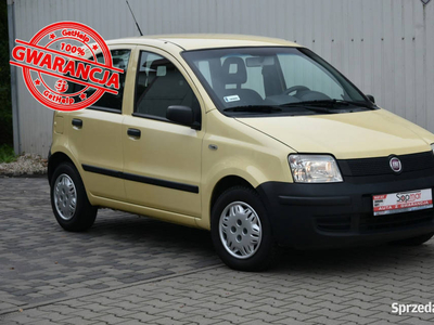 Fiat Panda 1.1 54KM 2009r. wsp. CITY 85tkm Polecam II (2003-2012)