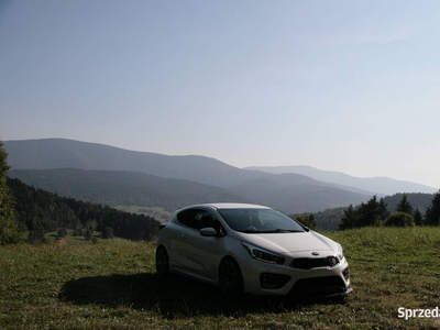 Kia proceed GT 204km