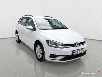 Volkswagen Golf VII (2012-)