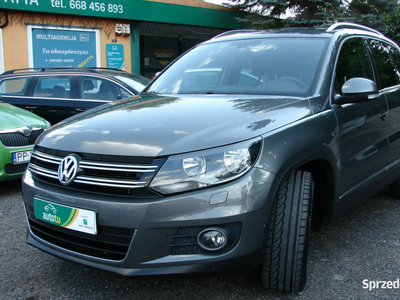 Volkswagen Tiguan 2.0 TDI 140 KM Bogata WERSJA I (2007-2016)