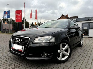 Audi A3 II (8P) Xenon Alu 17