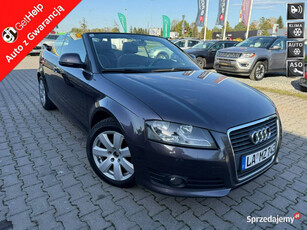 Audi A3 Stan idealny 1.8 Turbo 160PS z Austrii Gwarancja 8P (2003-2012)