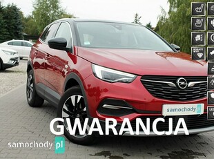 Opel Grandland X Inne