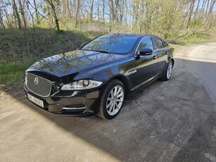 Używany Jaguar XJ 2013