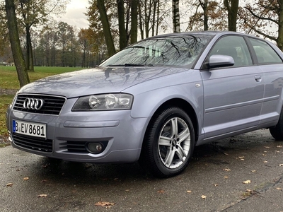 Audi A3 8P Hatchback 3d 1.6 102KM 2005