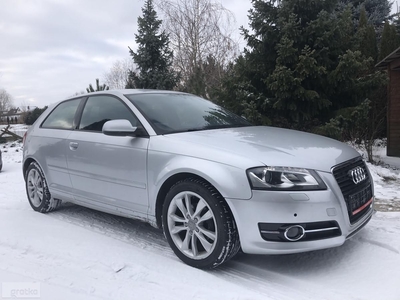 Audi A3 II (8P) 1.6 TDI Attraction