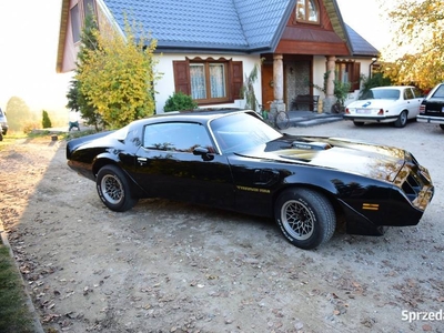 Pontiac Trans Am. Bandit. Firebird