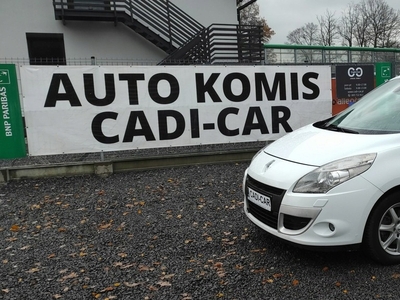 Renault Scenic III Van 2.0 16v 140KM 2010