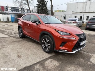 Lexus NX 300h Elegance AWD