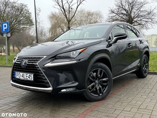 Lexus NX 300h Elegance Optimum AWD