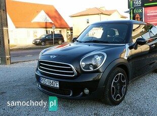 Mini Paceman