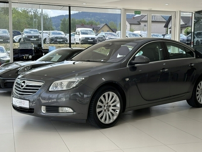 Opel Insignia I Hatchback 2.0 CDTI ECOTEC 130KM 2009