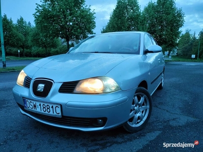 Seat Ibiza 6L