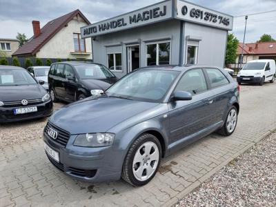 Audi A3 8P Hatchback 3d 2.0 FSI 150KM 2004