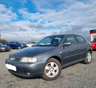 Audi A3 8L Hatchback 1.6 i 102KM 2002