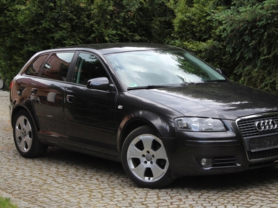 Audi A3 8P Hatchback 3d 1.6 102KM 2008