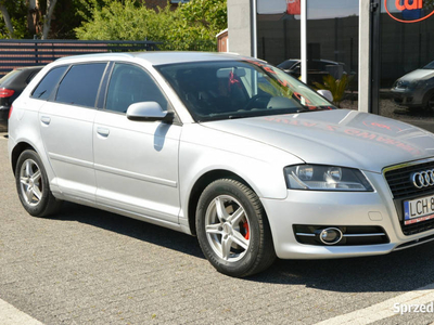 Audi A3 Mały przebieg Doinwestowana 8P (2003-2012)