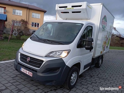 Fiat Ducato Chłodnia Sprowadzony