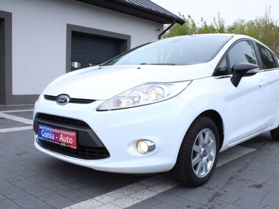 Ford Fiesta VII Hatchback 5d 1.6 Duratorq TDCi DPF 95KM 2010