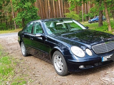 @ Mercedes W211 E2.2 CDI 150KM @ Idealny na długie trasy silnik OM646