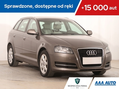 Audi A3 8P Hatchback 3d 1.4 TFSI 125KM 2011