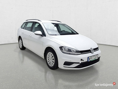 Volkswagen Golf VII (2012-)