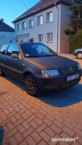 VW Polo