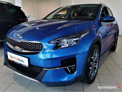 Kia XCeed XL 1.6 T-GDI 204KM Automat 2019 1WŁ SalonPL Gwara…