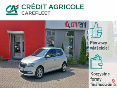 Škoda Fabia 1.0 Ambition Salon PL! 1 wł! ASO! FV23%! III (2…