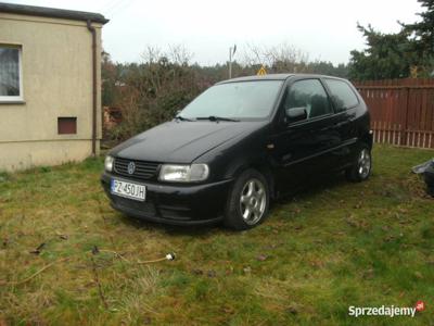 volkswagen polo1.0 alusy Oc do 2024 przeglad 2024 zamiana