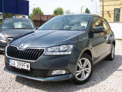 Skoda Fabia III 1.0 MPI SALON PL. 1 wł. 100% bezwypadkowa CarPlay Kamera czujniki