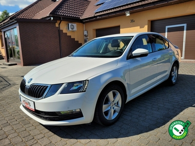 Skoda Octavia III Ambition+Pakiety 1.6 TDI 115KM Salon Polska Serwis Nowy rozrząd FV 2