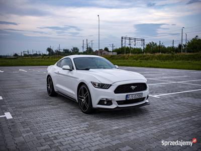 2.3 EcoBoost, Premium, Jasne Skóry, Wydech, 21