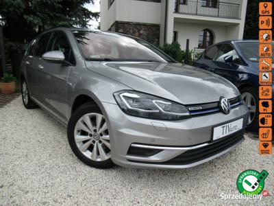 Volkswagen Golf BEZWYPADKOWY FULL LED Aktywny Tempomat Nawi…