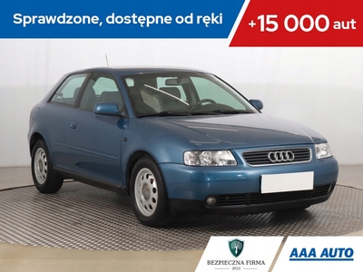 Audi A3 8L Hatchback 1.6 i 102KM 2002