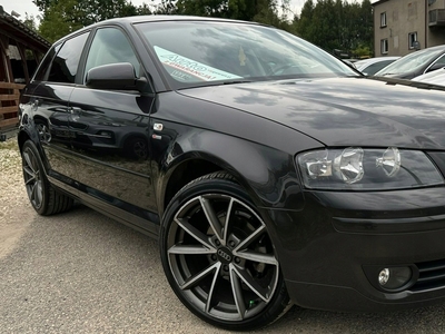 Audi A3 8P Hatchback 3d 1.9 TDI 105KM 2007