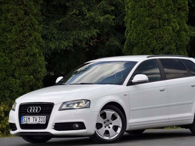 Audi A3 8P Hatchback 3d 2.0 TDI CR 170KM 2009