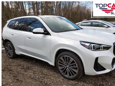 BMW X1 F48 Crossover Facelifting 2.0 25i 231KM 2022