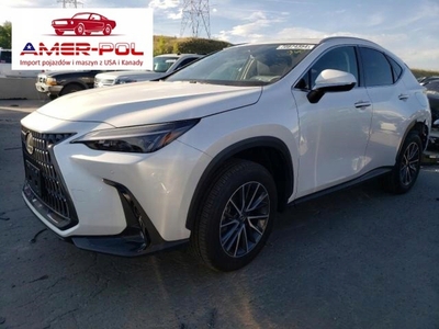 Lexus NX II 2024