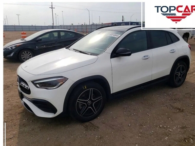 Mercedes GLA II Off-roader 2.0 250 224KM 2021