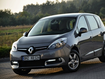 Renault Scenic III Van Facelifting 1.5 dCi FAP 110KM 2013